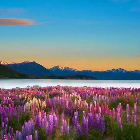 Antler Lodge Lake Tekapo Exteriör bild