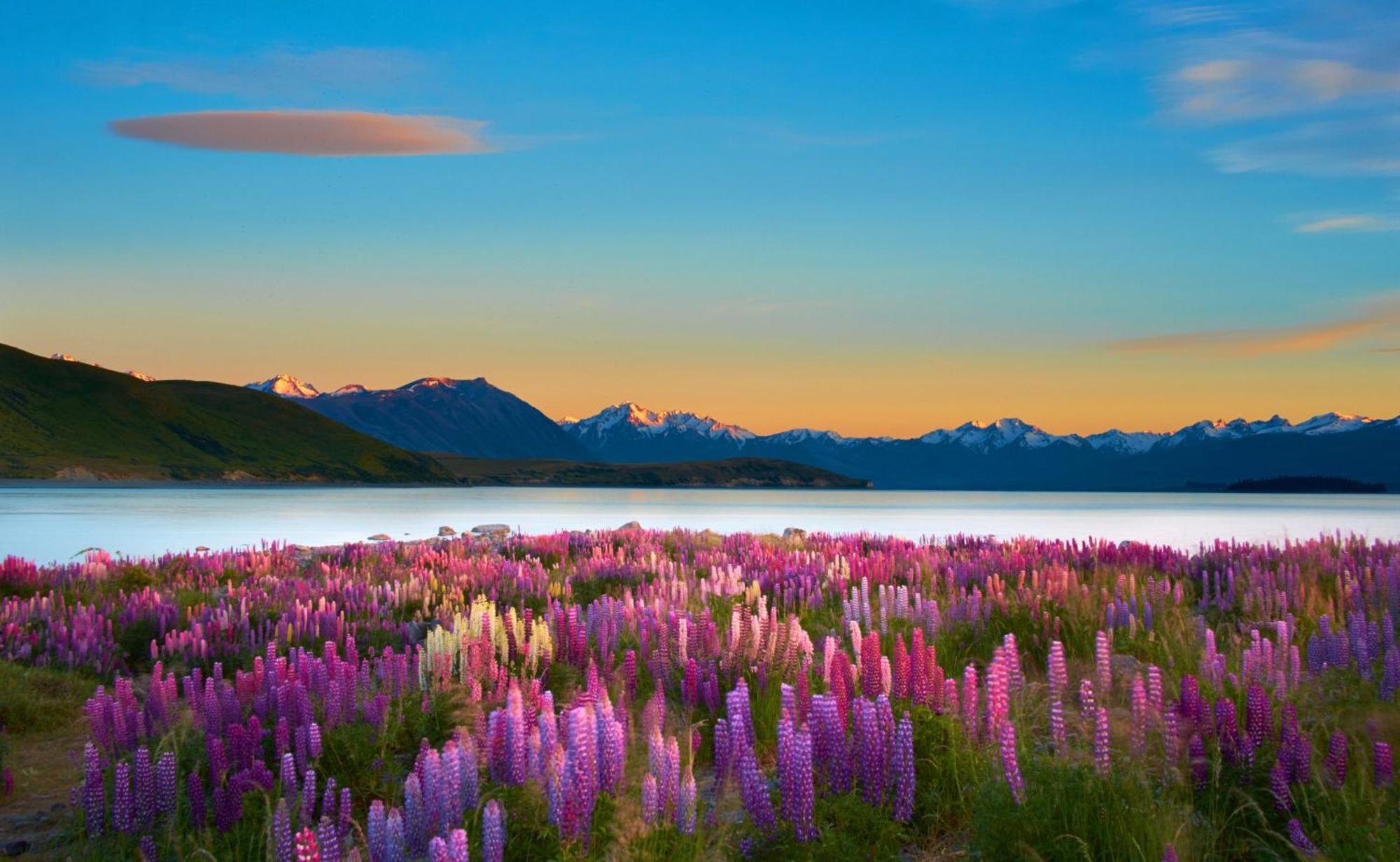 Antler Lodge Lake Tekapo Exteriör bild