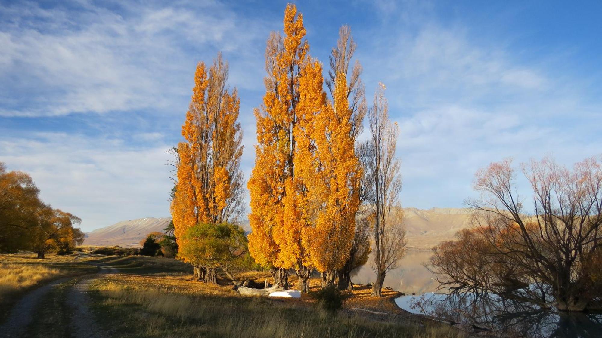 Antler Lodge Lake Tekapo Exteriör bild